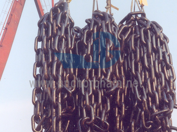 Anchora catenae functionis