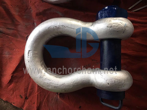 Typus Europaeae arcum Shackle
