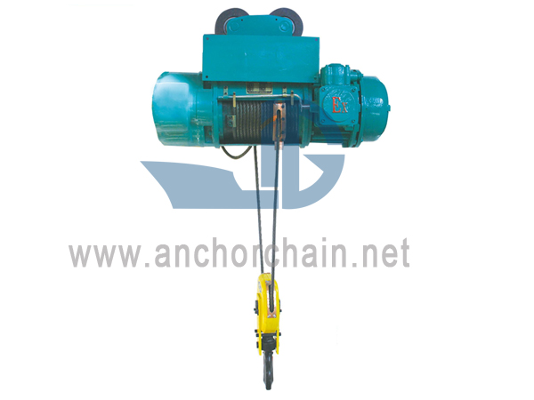 CREPITUS-Probatur Wire Funis Electric Hoist