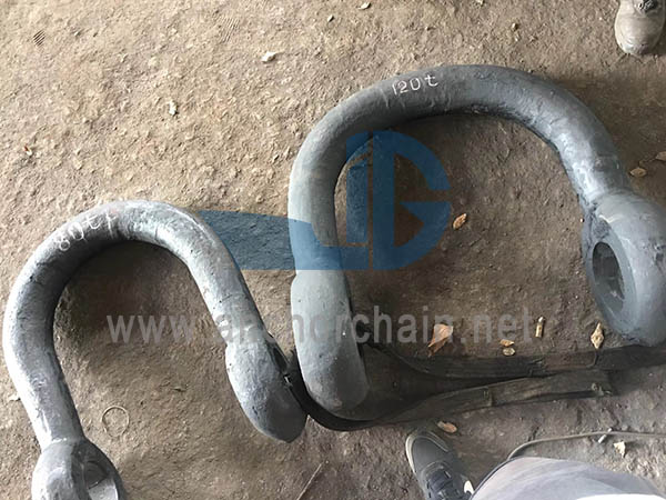 Magna Oris Shackle
