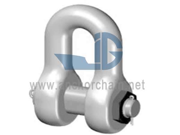 Typus D15 Deae Safety Pin Shackle