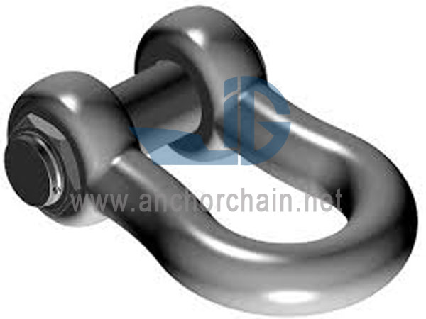 Typus H10 arcum Safety Pin Shackle