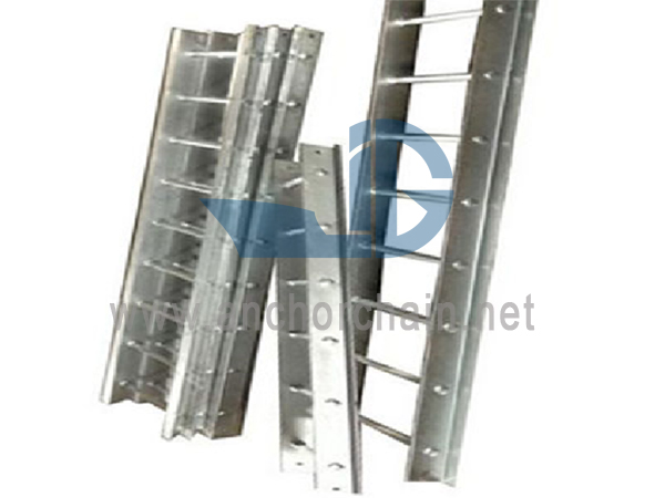 Vasculum Steel Vertical Scala